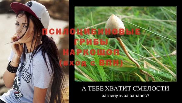 бошки Михайловск