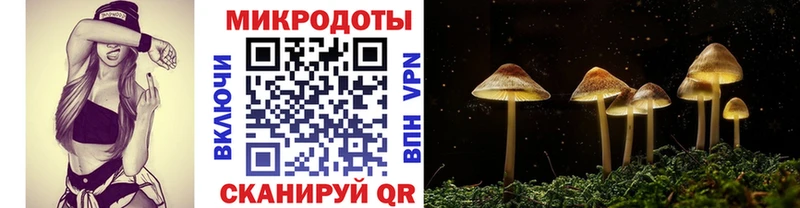 Галлюциногенные грибы MAGIC MUSHROOMS  купить закладку  Голицыно 